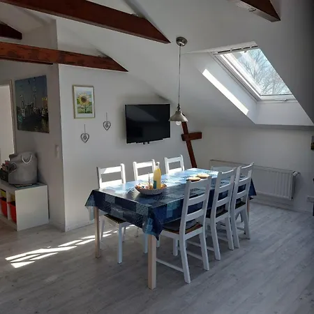 Sonnenblume - Bauernhof-nordsee-urlaub Norderfriedrichskoog
