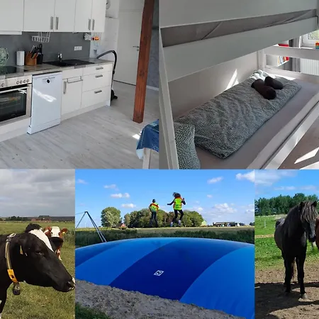 Sonnenblume - Bauernhof-nordsee-urlaub Apartment
